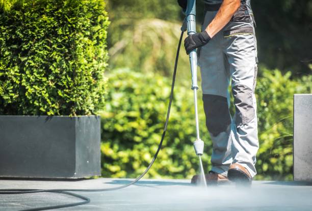 Best Gutter Cleaning  in Jasper, AL