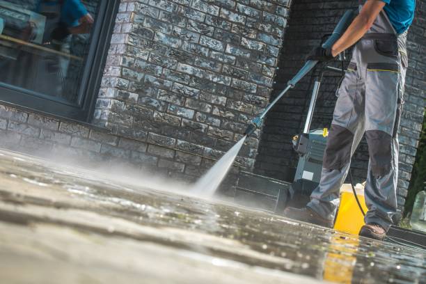 Best Roof Washing  in Jasper, AL