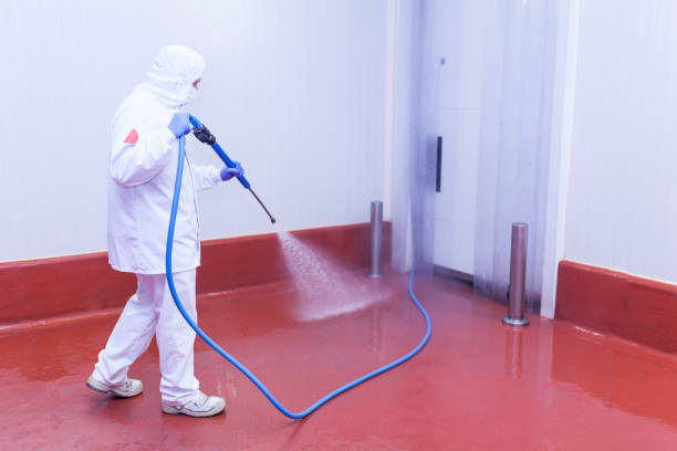 Best Building Exterior Washing  in Jasper, AL